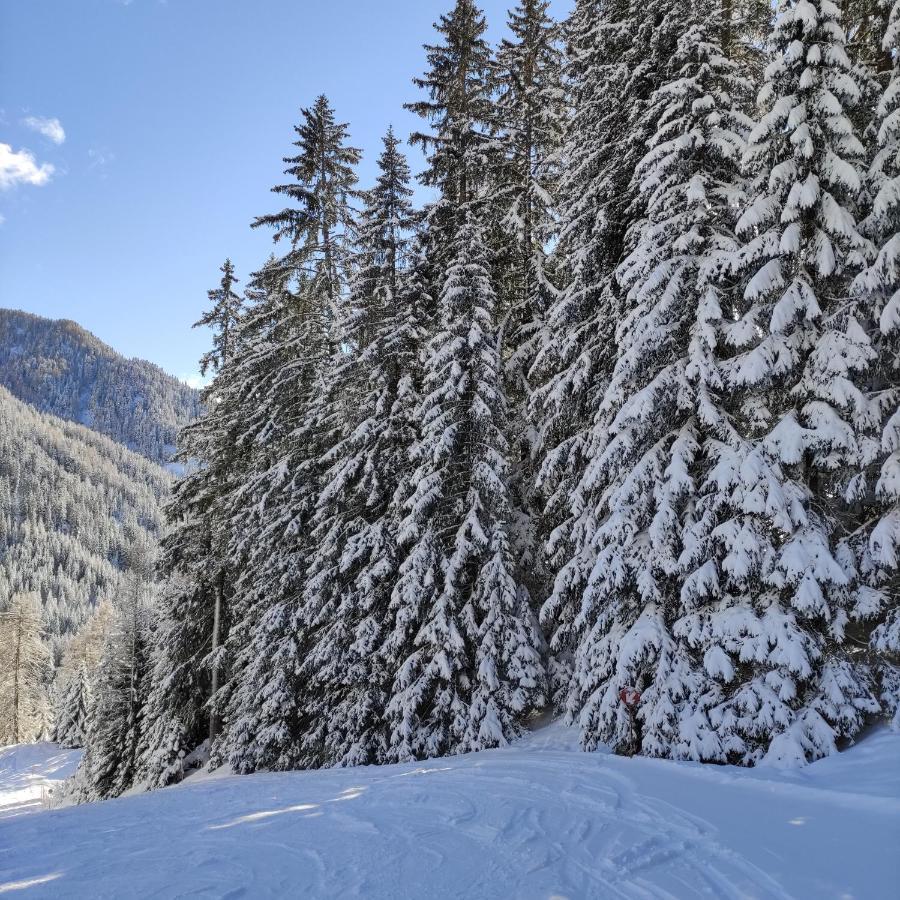Villa Kofler Wonderland Resort Campitello di Fassa Extérieur photo